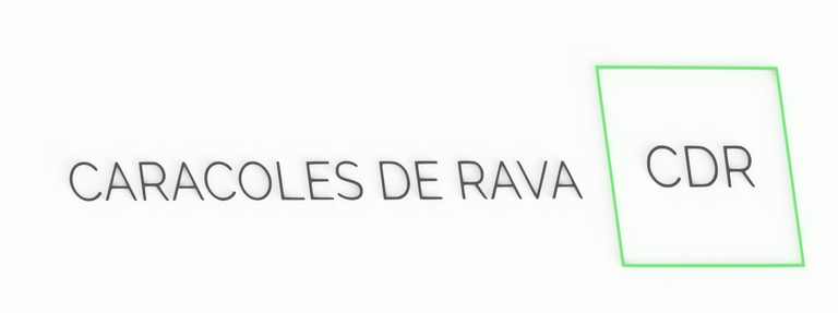 CARACOLES DE RAVA logo