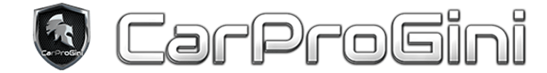 CarProGini logo