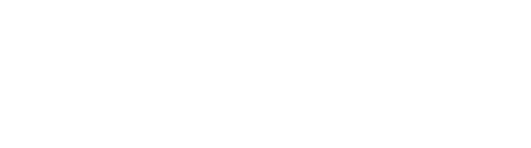 Ray Boule logo