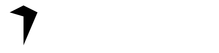 TPD GARAJ logo