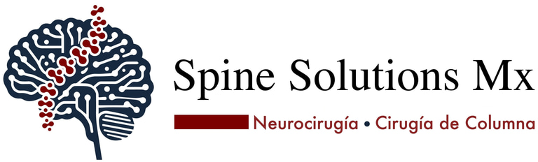 Spine Solutions Mx logo