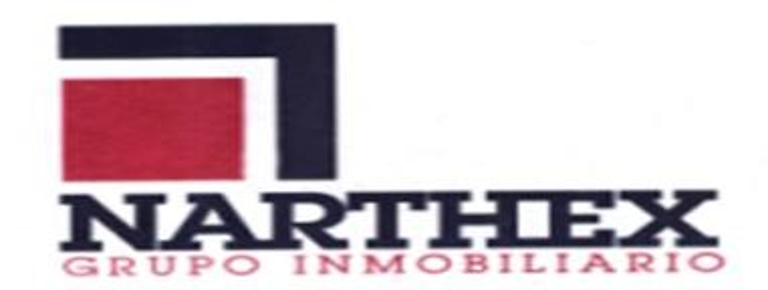 Grupo Inmobiliario Narthex logo