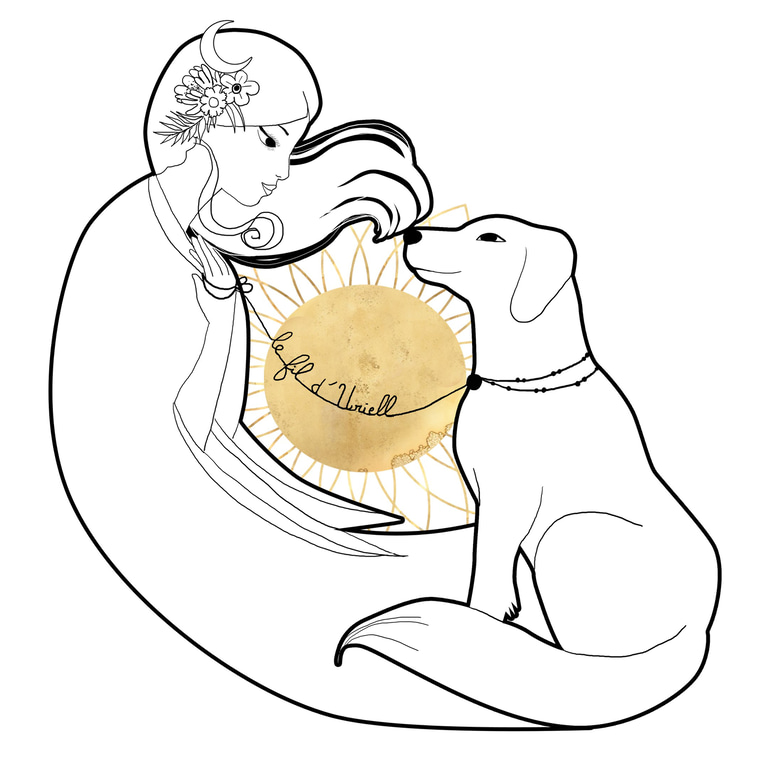 Le fil d'Uriell logo