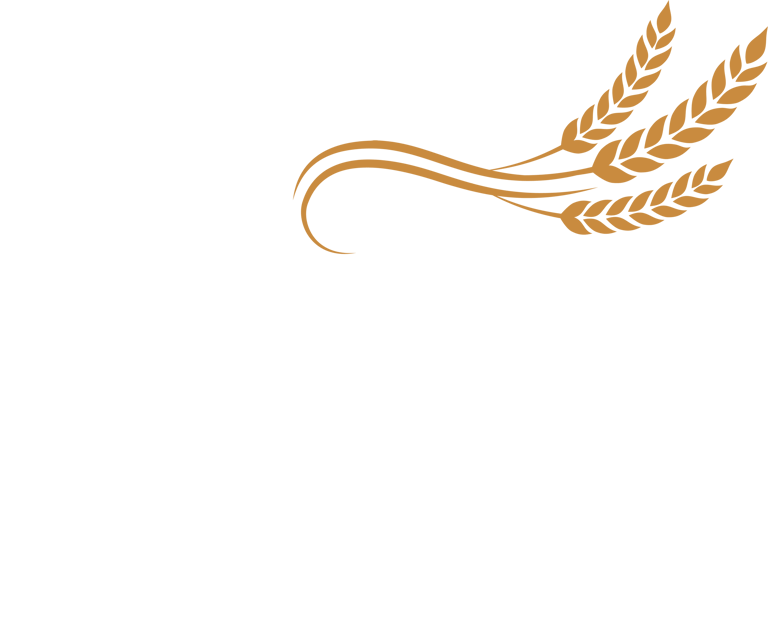 Padaria Nova Romana logo