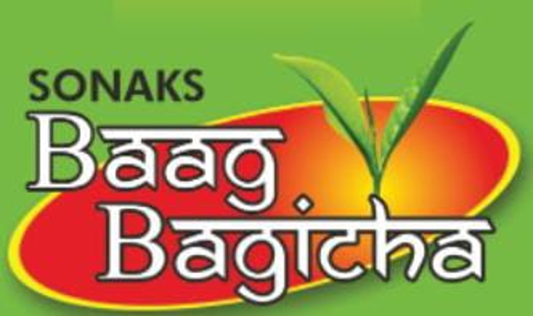 Sonaks India  logo