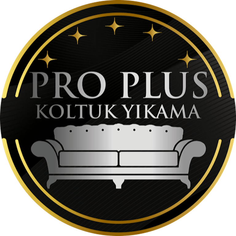 Pro Plus Koltuk Yıkama logo