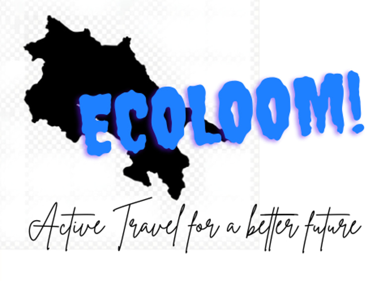 Ecoloom logo