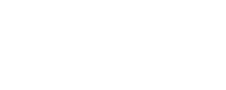Lavazit logo