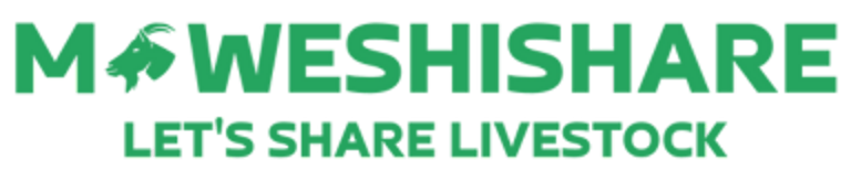 Maweshishare logo