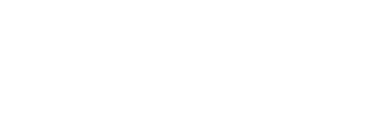 SLAYDE logo
