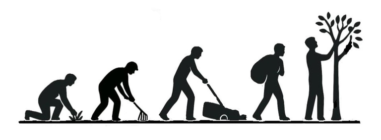 Emidius Yard & Garden Maintenance logo