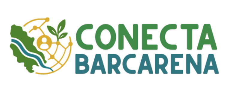 Conexão Barcarena logo