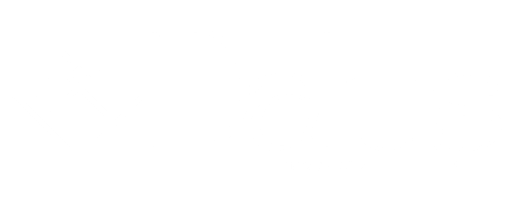 Dalus Inovacação logo