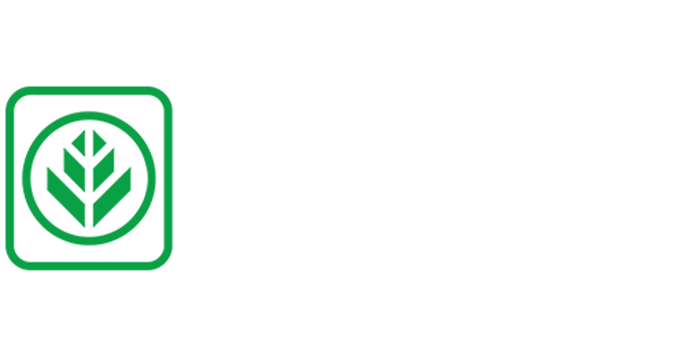 Bravos Engenharia logo