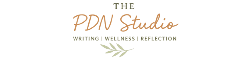 PDN Studio logo