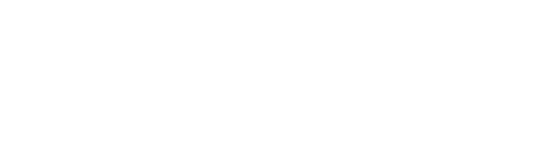 FluxMind logo