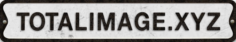 TOTALIMAGE.CO.NZ logo