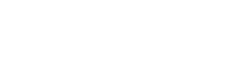 NSDigital logo