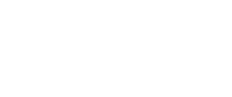 NSDigital logo