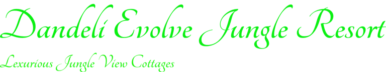 Dandeli Evolve logo