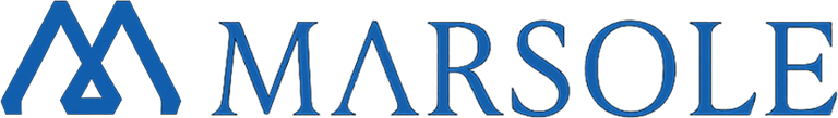 Marsole Holdings logo