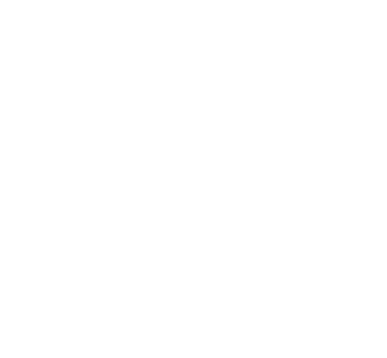 Rudravs International Services logo