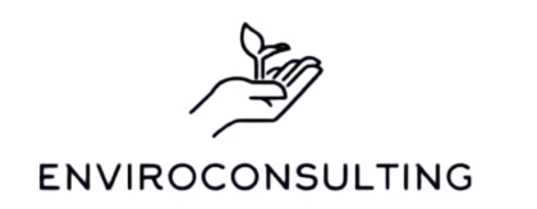 Daylight Consulting logo