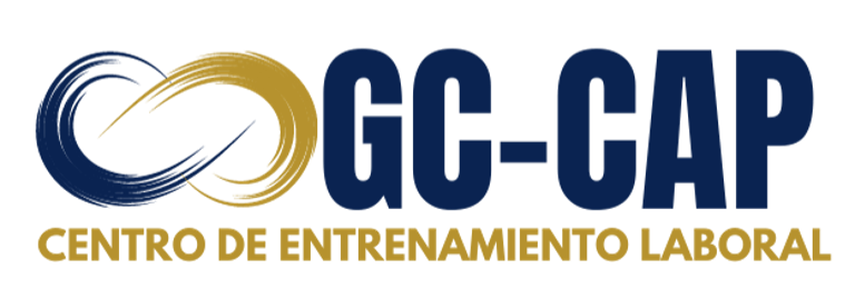 Training Chile logo