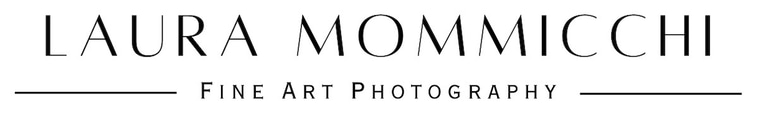 Laura Mommicchi logo