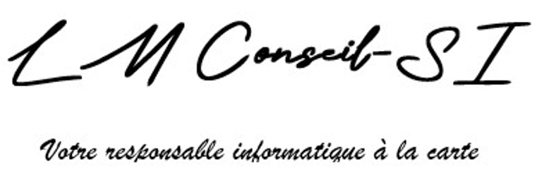 LMconseil-SI logo
