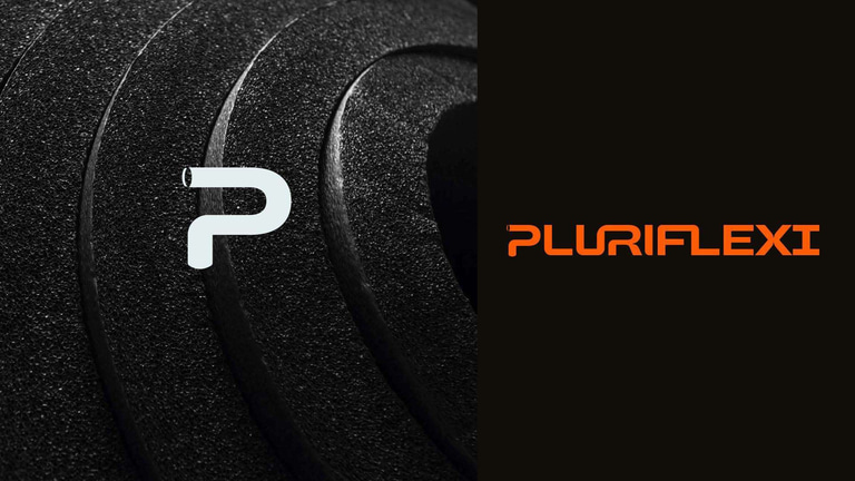 Pluriflexi logo