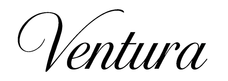 Ventura LLC logo