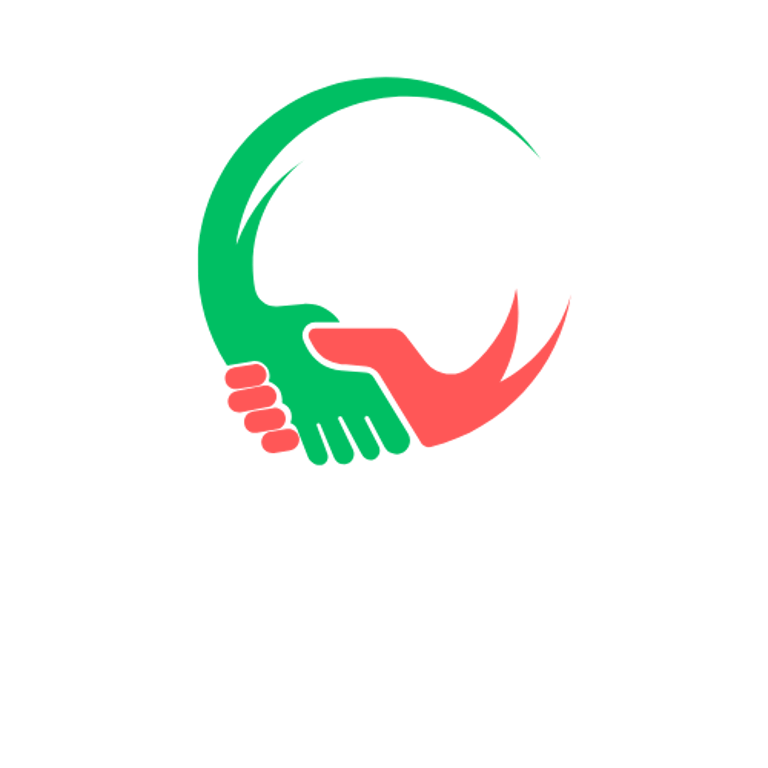 financial problem solver logo