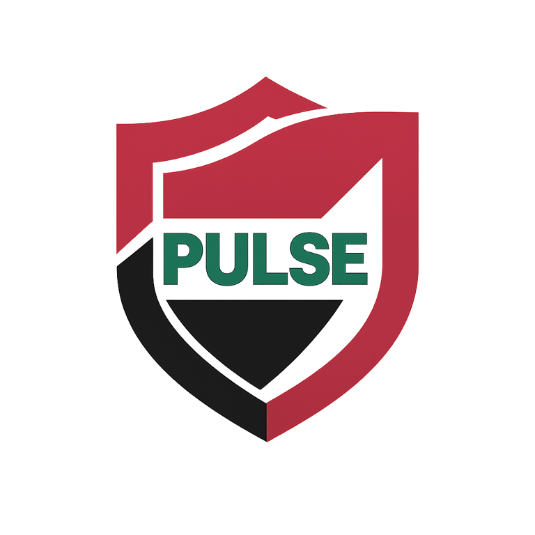 HSE IRAQ PULSE logo