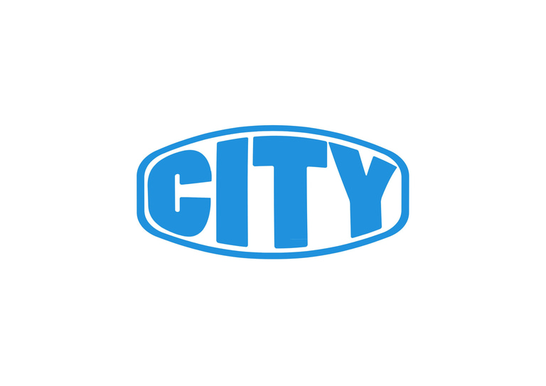 CITY FITTINGS & VALVES logo