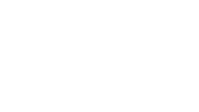 Versal Agro logo