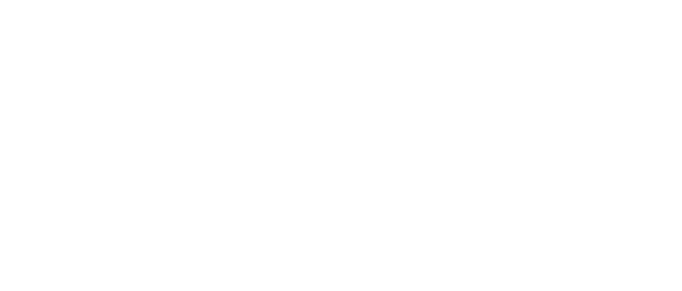 anakeles logo