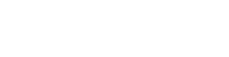 Next Level Professional English logo