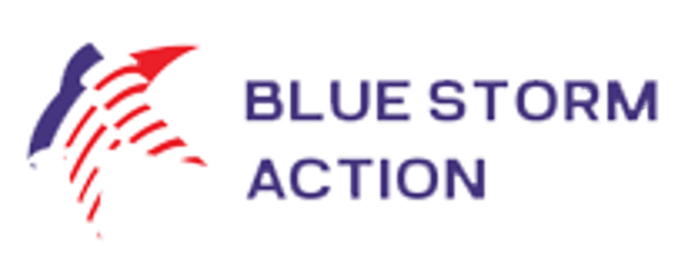 Blue Storm Action logo