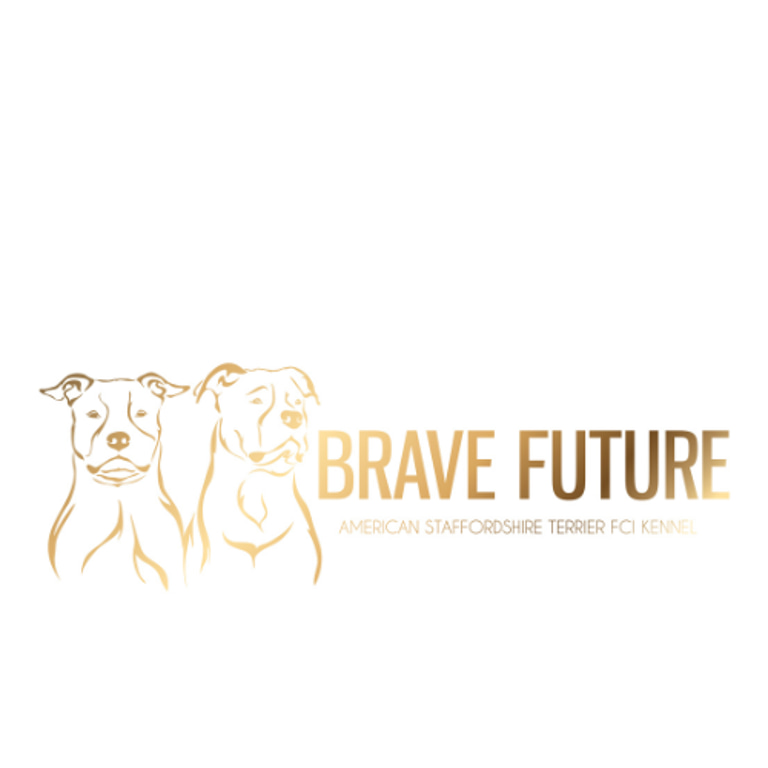 Brave Future logo
