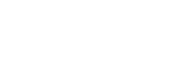 Destiny Chiropractic logo