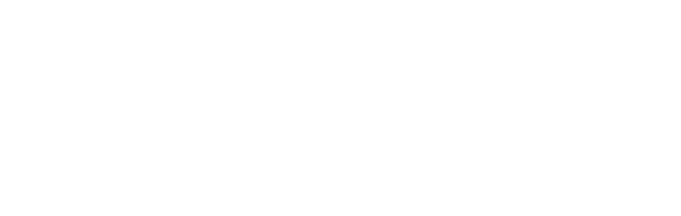 Delfino Gaviña logo