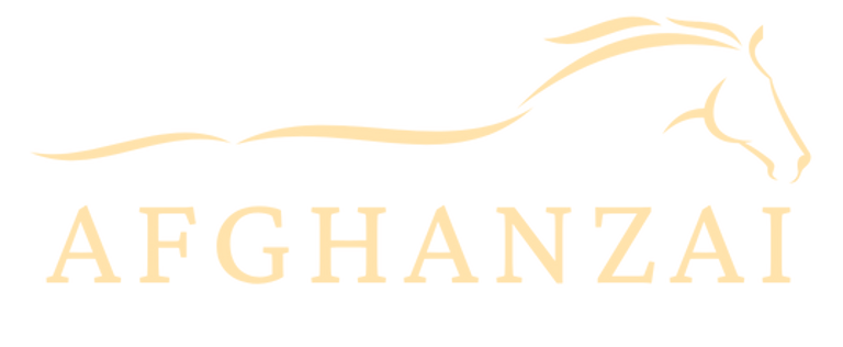 Afghanzai Group of Companies logo