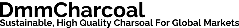 dmmcompany logo
