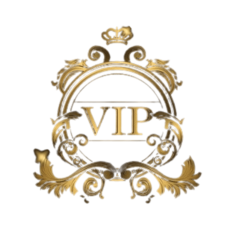 VIP PAYS logo