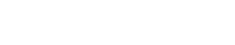 Nexel Web logo