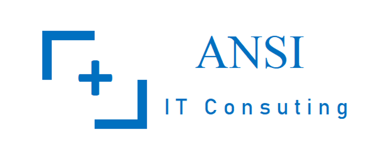 ANSI IT Consulting logo