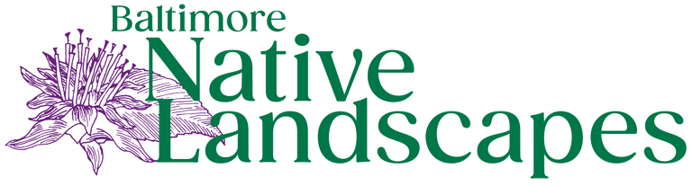 Baltimore Native Landscapes logo