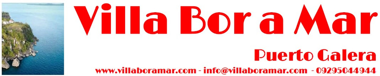 Villa Bor a Mar logo