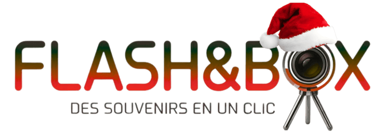 Flash&box logo